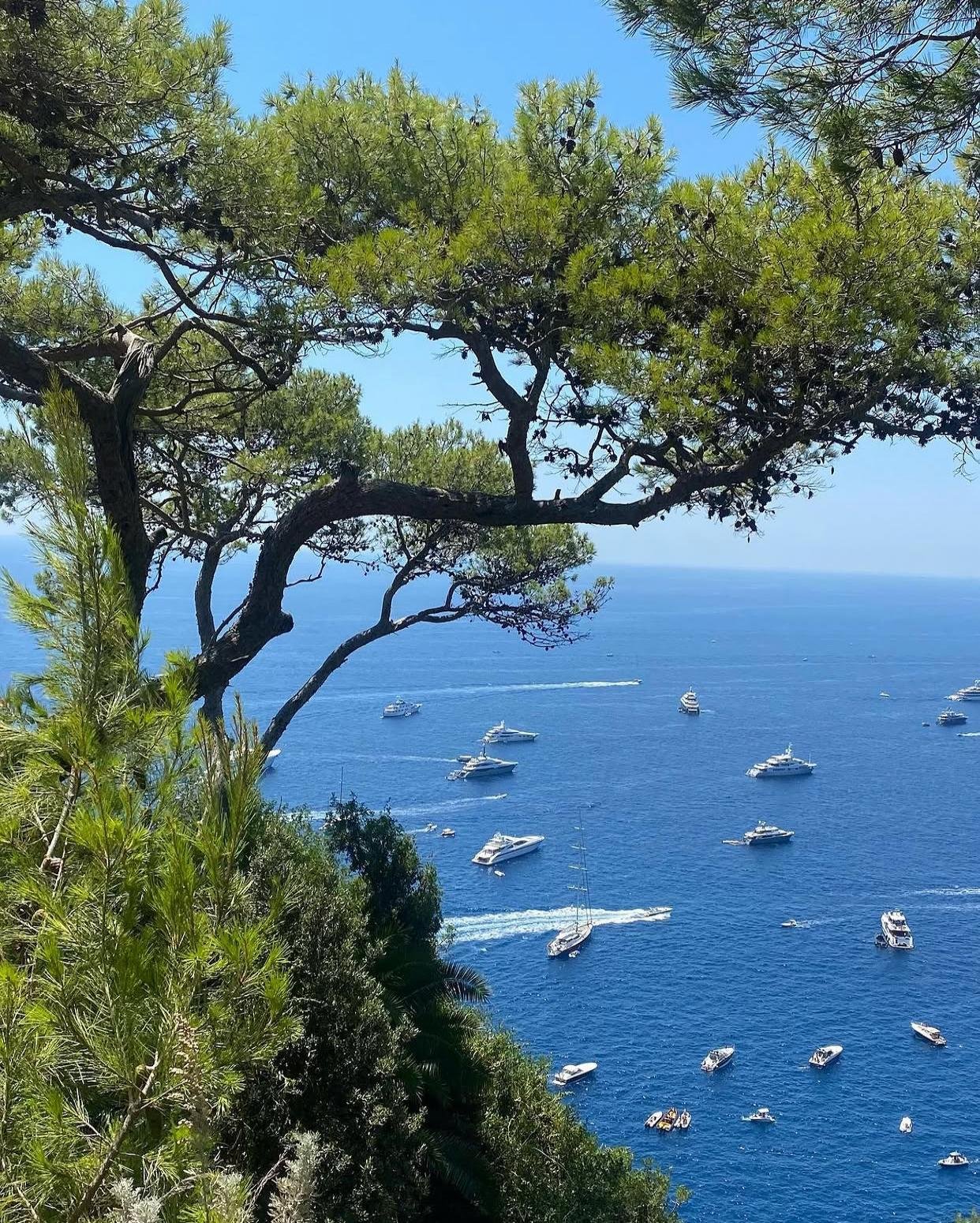 © Grand Hotel Quisisana – Official visual | Source: Instagram @qvisisanacapri